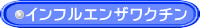�C���t���G���U���N�`��